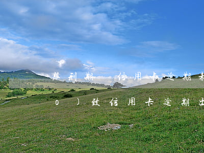 服刑期間信用卡逾期未還款(因服刑導(dǎo)致信用卡逾期出來無法還)