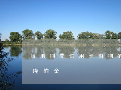 服刑期間信用卡逾期的滯納金(信用卡 滯納金 違約金)