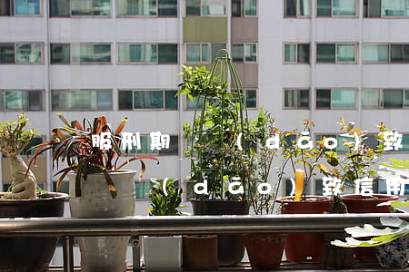 服刑期間導(dǎo)致信用卡逾期(服刑期間導(dǎo)致信用卡逾期)