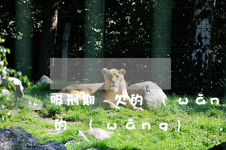 服刑期間欠的網(wǎng)貸(服刑期間欠的網(wǎng)貸)