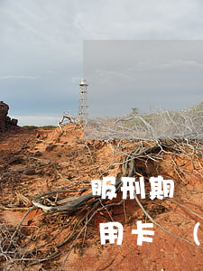 服刑期間還欠信用卡網(wǎng)貸(欠信用卡網(wǎng)貸會坐牢嗎)