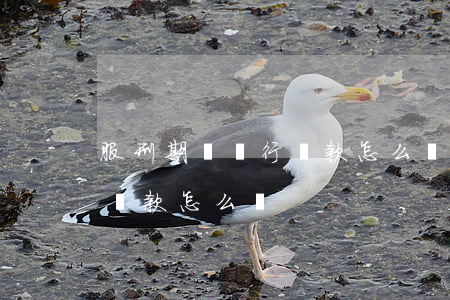 服刑期間銀行貸款怎么處理(服刑人員銀行有貸款怎么辦)