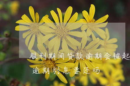 服刑期间贷款逾期会被起诉吗 服刑期间贷款逾期利息要还吗