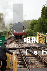 服刑離婚起訴書(shū)模板(起訴離婚書(shū)怎么寫(xiě)模板或者案)