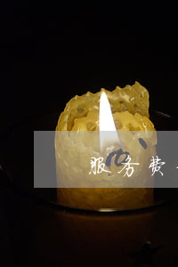 服务费分期两年免息 分期服务费0.8