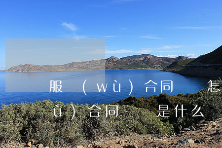 服務(wù)合同糾紛怎么判一般(服務(wù)合同糾紛是什么)