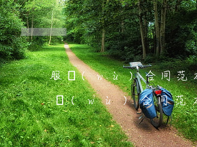 服務(wù)合同范本(商務(wù)咨詢服務(wù)合同范本)