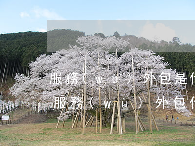 服務(wù)外包是什么意思(企業(yè)服務(wù)外包什么意思)