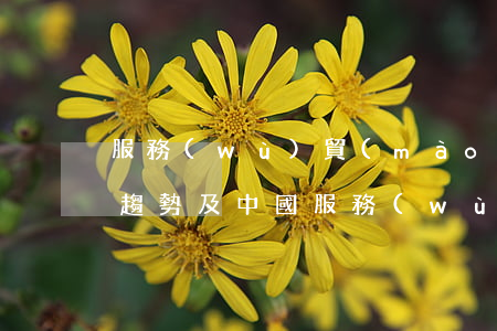 服務(wù)貿(mào)易發(fā)展趨勢及中國服務(wù)貿(mào)易發(fā)展對策研究
