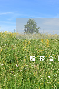 服務合同范本(倉儲服務合同范本)