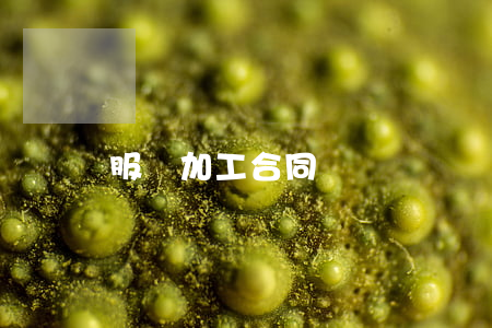 服裝加工合同