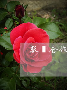服裝合作協(xié)議怎么寫