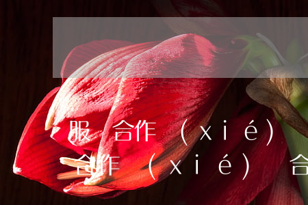 服裝合作協(xié)議書怎么寫(服裝銷售合作協(xié)議合同范本)