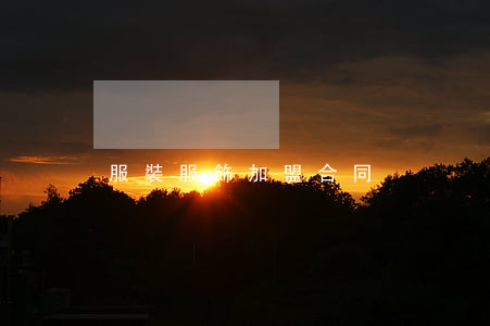 服裝服飾加盟合同