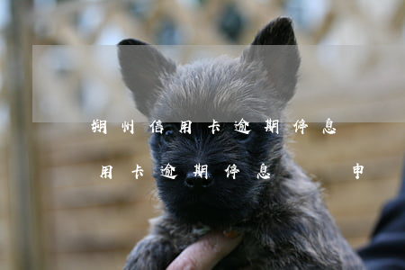 朔州信用卡逾期停息掛賬申請條件-朔州信用卡逾期停息掛賬申請條件是什么