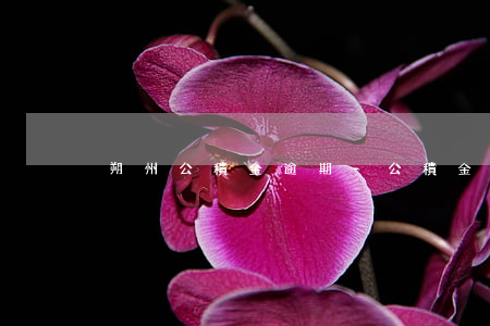 朔州公積金逾期-公積金逾期有提醒嗎?