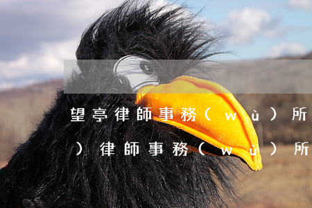 望亭律師事務(wù)所地址(望城區(qū)律師事務(wù)所)