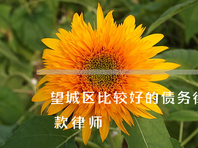 望城区比较好的债务律师怎么收费-望城欠款律师