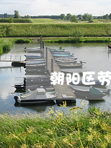 朝阳区劳动仲裁律师(朝阳区劳动仲裁律师)