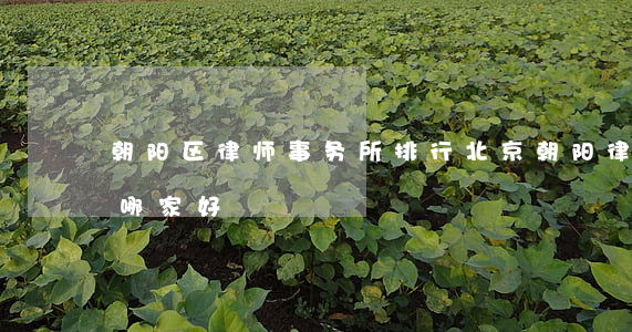 朝阳区律师事务所排行(北京朝阳律师事务所哪家好)