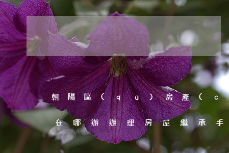 朝陽區(qū)房產(chǎn)繼承過戶在哪辦(辦理房屋繼承手續(xù)在哪里辦)