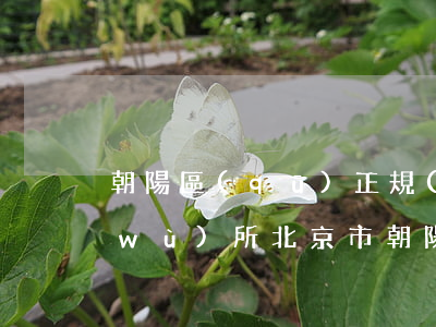 朝陽區(qū)正規(guī)律師事務(wù)所(北京市朝陽區(qū)市律師事務(wù)所)