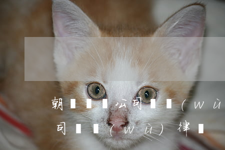 朝陽專辦公司債務(wù)律師(朝陽專辦公司債務(wù)律師)