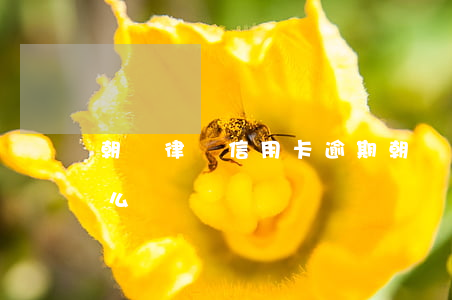 朝陽律師信用卡逾期(朝陽律師信用卡逾期怎么辦)