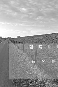 朝陽比較有名的債務糾紛律師推薦-朝陽最有名的律師