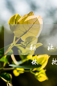 朝陽社保網(wǎng)上取號(朝陽社保退休審批取號)