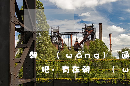 朝陽網(wǎng)債通只能查詢逾期的情況吧-有在朝陽網(wǎng)債通還款的嗎