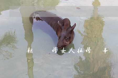 朝陽離婚女人征婚啟事