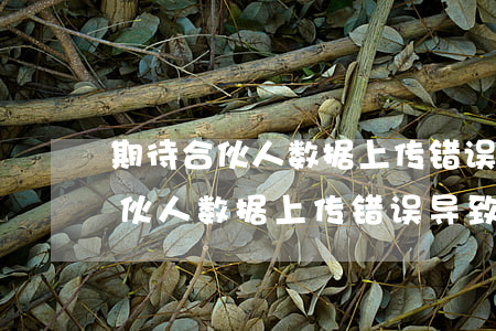 期待合伙人数据上传错误导致逾期-期待合伙人数据上传错误导致逾期怎么办