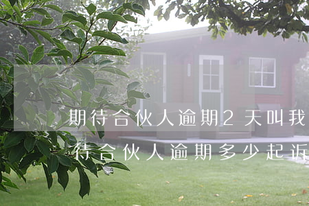 期待合伙人逾期2天叫我全部还清怎么办（期待合伙人逾期多少起诉）
