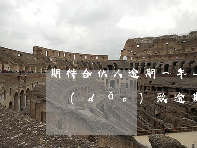 期待合伙人逾期一年-期待合伙人無法還款導(dǎo)致逾期