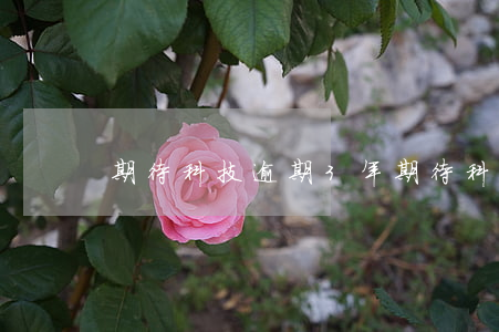 期待科技逾期3年（期待科技逾期会起诉吗）
