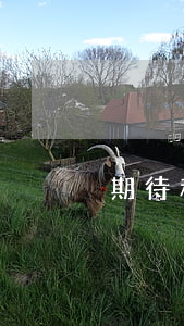 期待科技逾期3年（期待科技逾期會起訴嗎）