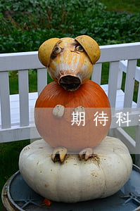 期待科技逾期要起訴(期待科技逾期3年)