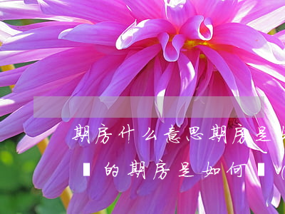 期房什么意思 期房是如何進(jìn)行買賣的（期房是如何進(jìn)行買賣的）