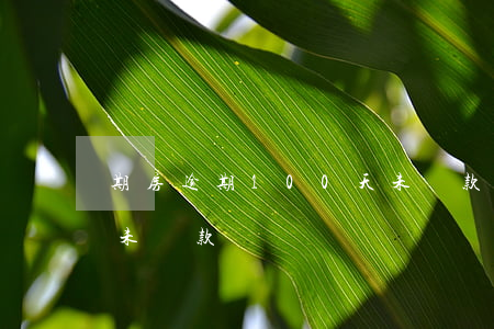 期房逾期100天未還款(期房逾期100天未還款)