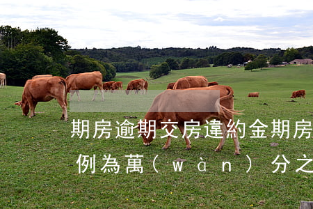期房逾期交房違約金(期房逾期交房違約金比例為萬(wàn)分之0.1合理嗎)
