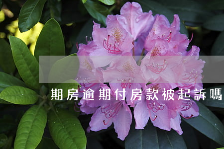 期房逾期付房款被起訴嗎(房貸逾期被起訴后)