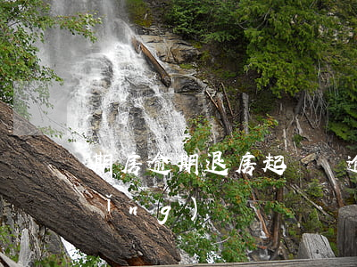 期房逾期退房起訴書(逾期交房退房申請(qǐng)書)