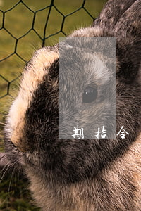 期指合約，期指合約什么意思