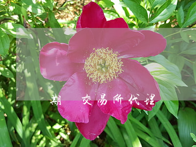 期貨交易所代理協議書