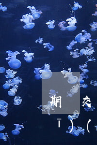 期貨交易相關(guān)法律法規(guī)(關(guān)于期貨的相關(guān)法律法規(guī)有哪些)