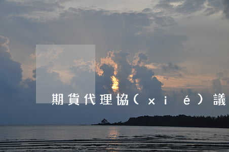 期貨代理協(xié)議書