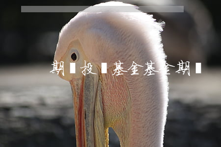 期貨投資基金(基金期貨)