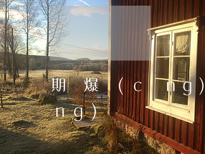 期貨爆倉(cāng)欠信用卡和網(wǎng)貸