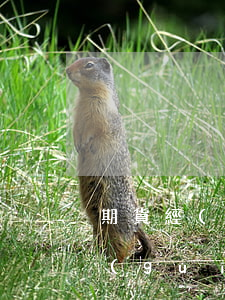 期貨經(jīng)理事業(yè)管理規(guī)則